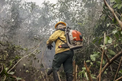 Incêdios no Amazonas resultam de ação humana intencional, diz ministro