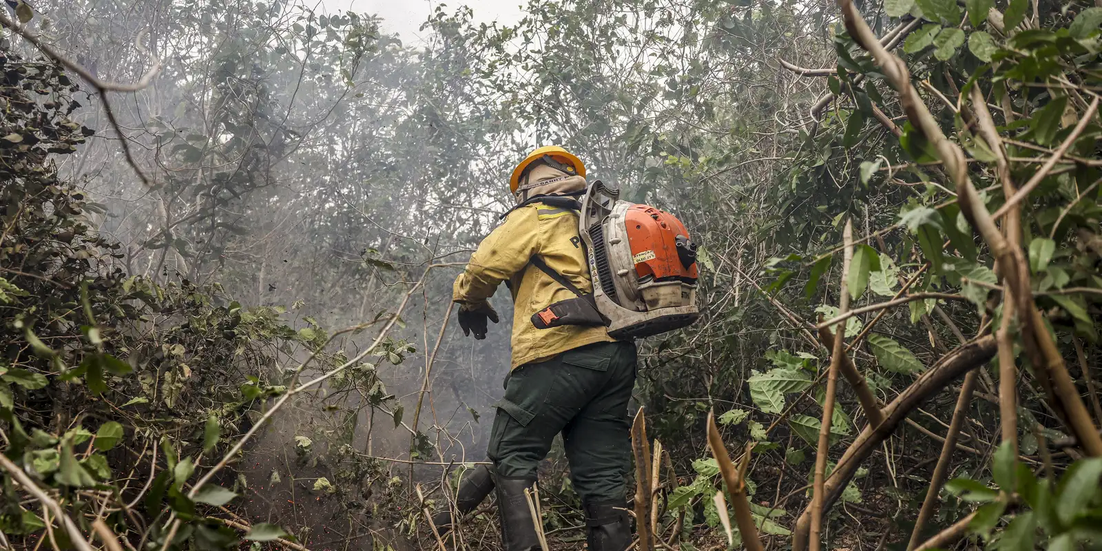 Incêdios no Amazonas resultam de ação humana intencional, diz ministro