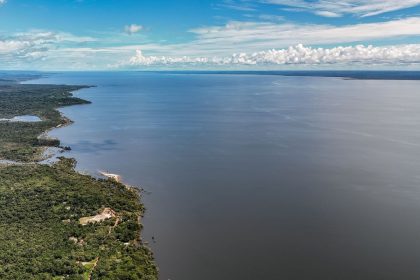 Veja os planos de governo de Flávio e Lula para meio ambiente e clima