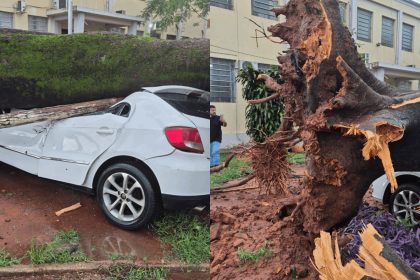 Temporal com ventos fortes derruba árvores, causa destelhamentos e deixa estragos em Promissão; VÍDEO