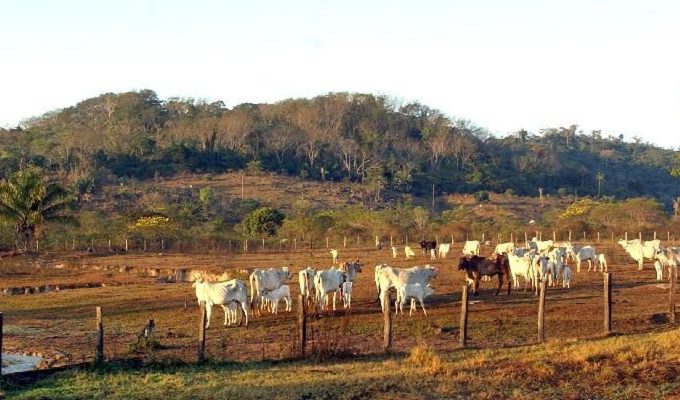 Agropecuária ocupa territórios próximos aos preservados na Amazônia