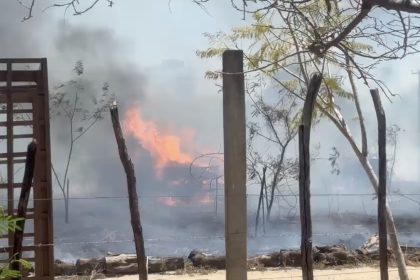 Incêndio atinge caminhões apreendidos pelo Ibama em parque municipal de Mossoró