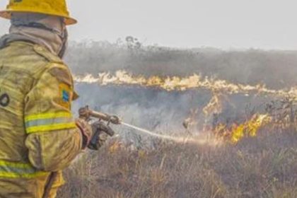 Governo investiga se há organização por trás dos incêndios no Amazonas