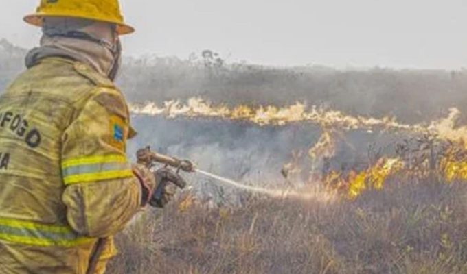 Governo investiga se há organização por trás dos incêndios no Amazonas