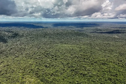 MapBiomas: Amazônia registra menor nível de desmatamento em 41 anos
