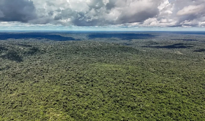 MapBiomas: Amazônia registra menor nível de desmatamento em 41 anos
