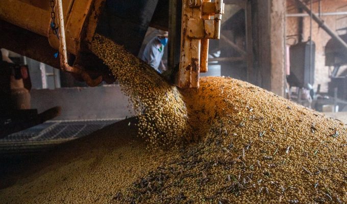 Produção brasileira de grãos deve aumentar apesar do El Niño