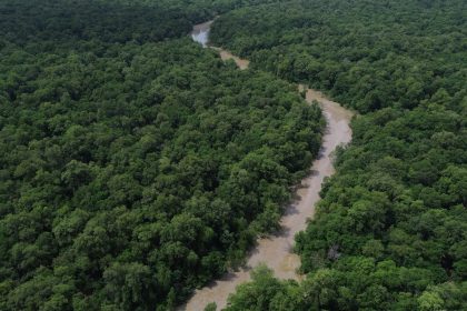 Desmatamento cai 41,8% na Amazônia e 23,8% no Cerrado em um ano