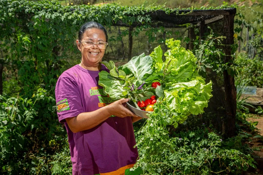 Mulheres alimentam o Brasil: PAA e PNAE transformam produção em renda e direitos