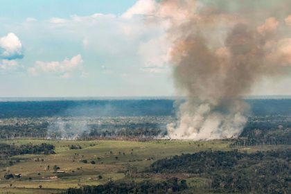 Incêndios avançam sobre o oeste do Pará e deixam ar insalubre