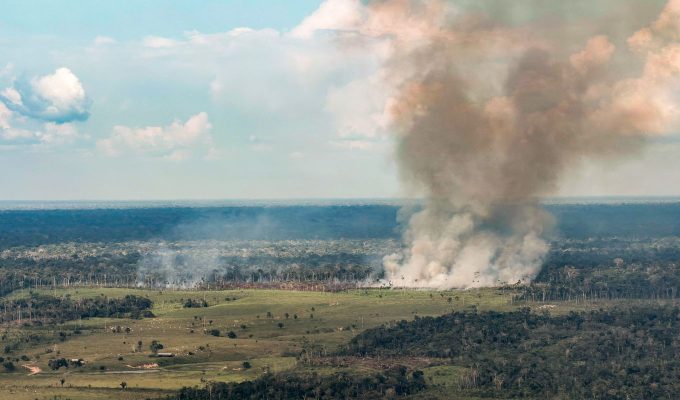 Incêndios avançam sobre o oeste do Pará e deixam ar insalubre