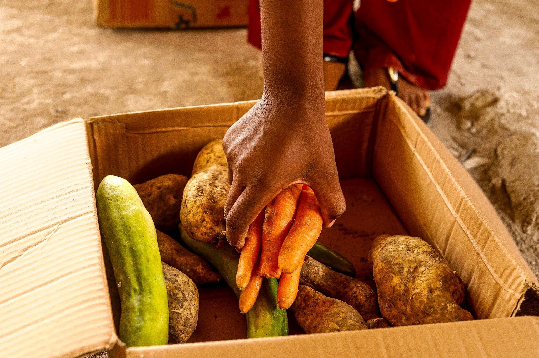 Dia Mundial da Alimentação: iniciativas de mulheres ajudam a combater a insegurança alimentar no Rio de Janeiro