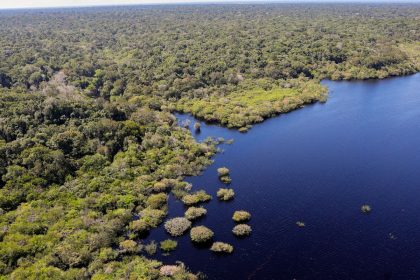 Queda de desmatamento no Brasil gera R$ 1,16 trilhão à economia global