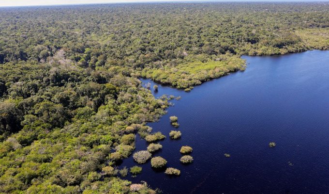 Queda de desmatamento no Brasil gera R$ 1,16 trilhão à economia global