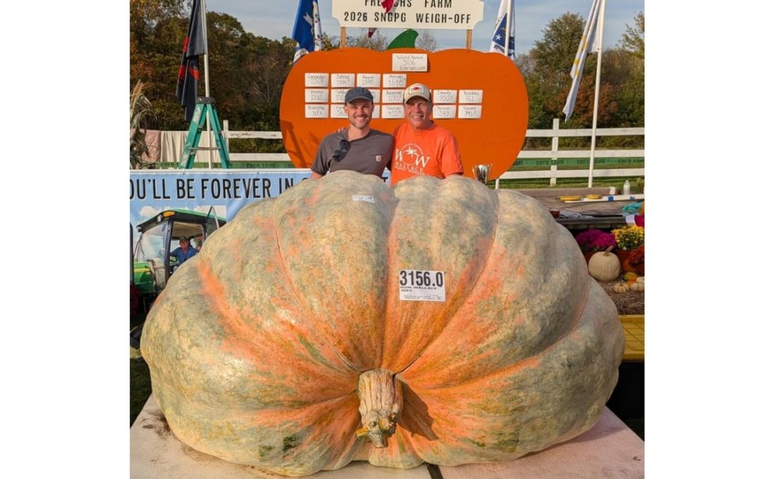 Abóbora de 1.500 kg bate recorde mundial e entra para o Guinness; fruto renderia 3 mil tortas