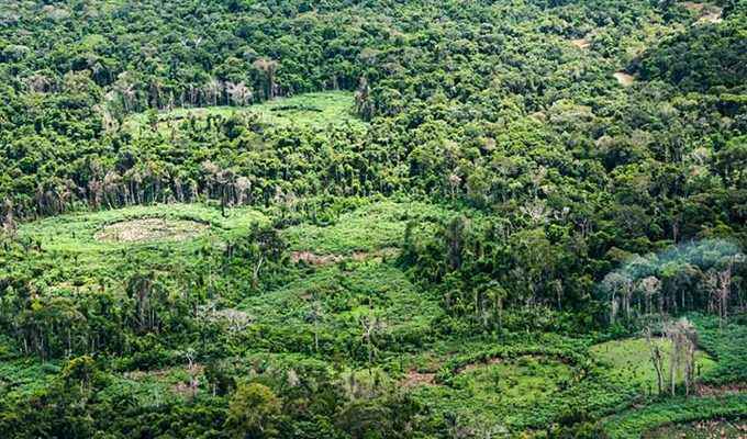 Plataforma pan-amazônica reúne 232 políticas públicas para bioeconomia