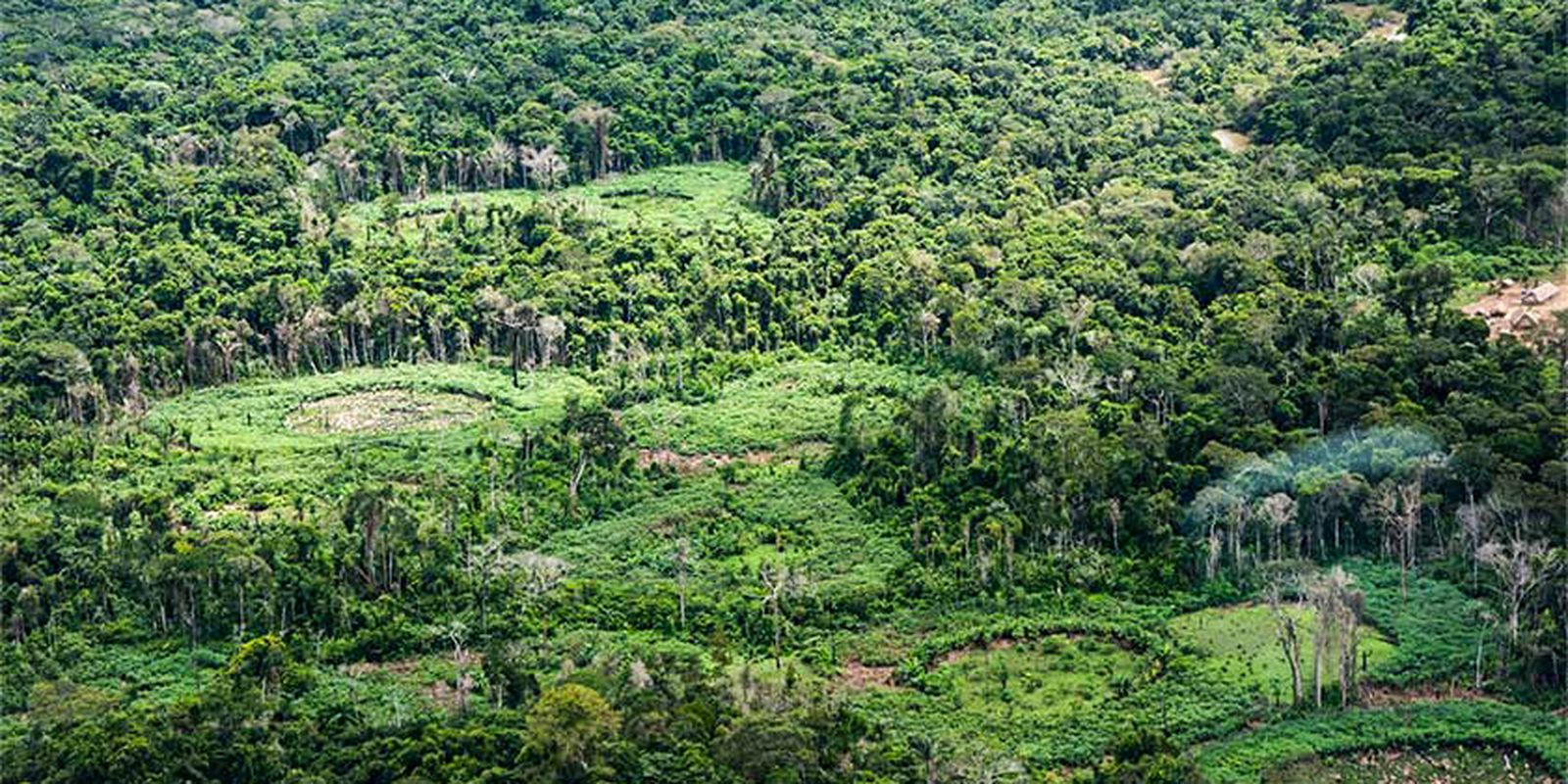 Plataforma pan-amazônica reúne 232 políticas públicas para bioeconomia