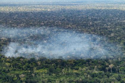 Estudo aponta atividade humana nas emissões de carbono na Amazônia