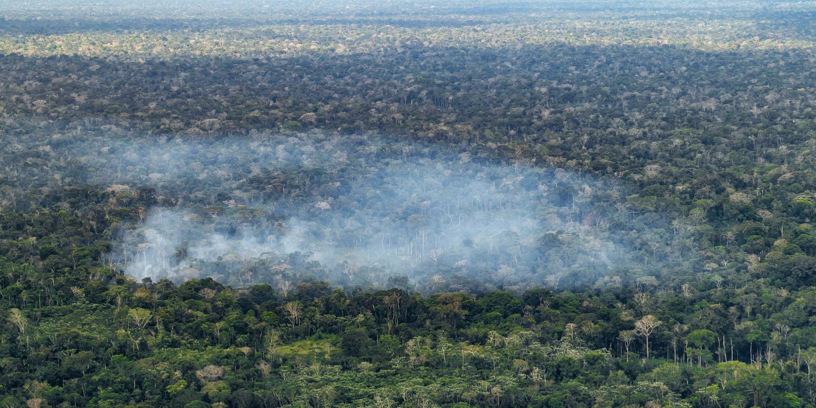 Estudo aponta atividade humana nas emissões de carbono na Amazônia