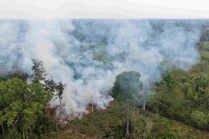 Ipaam multa proprietário em R$ 15 mil após flagrante de queimada no Careiro, no AM