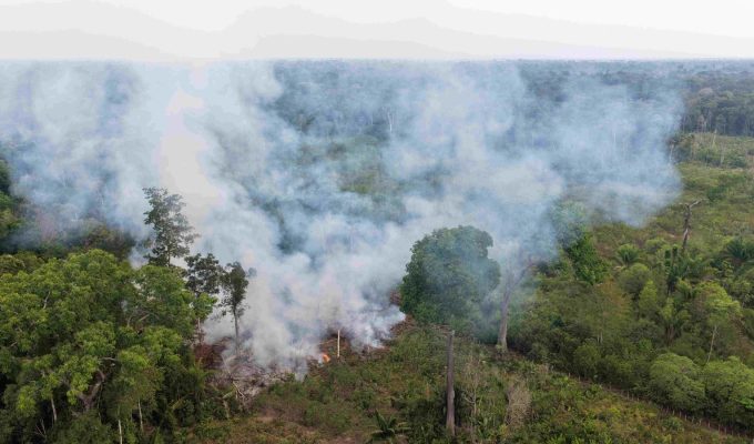Ipaam multa proprietário em R$ 15 mil após flagrante de queimada no Careiro, no AM