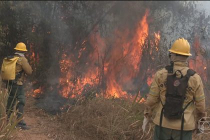 Altamira, cidade brasileira com o maior número de focos de incêndio em 2026, decreta situação de emergência