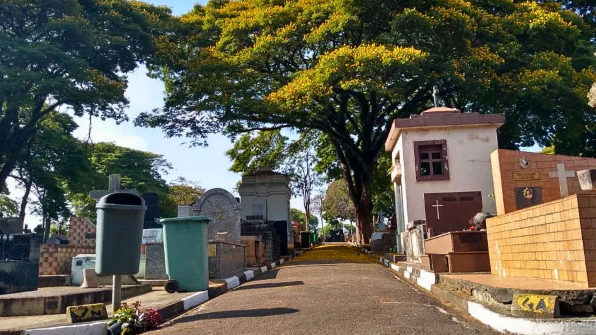 Morre Domingos Sica, criador da bandeira de Mogi das Cruzes