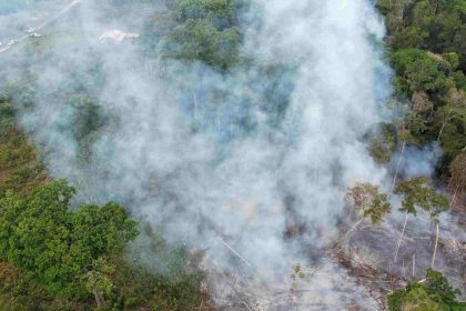 Ipaam multa proprietário de terreno em R$ 15 mil após flagrante de queimada no interior do Amazonas