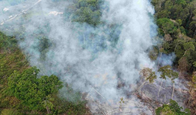 Ipaam multa proprietário de terreno em R$ 15 mil após flagrante de queimada no interior do Amazonas