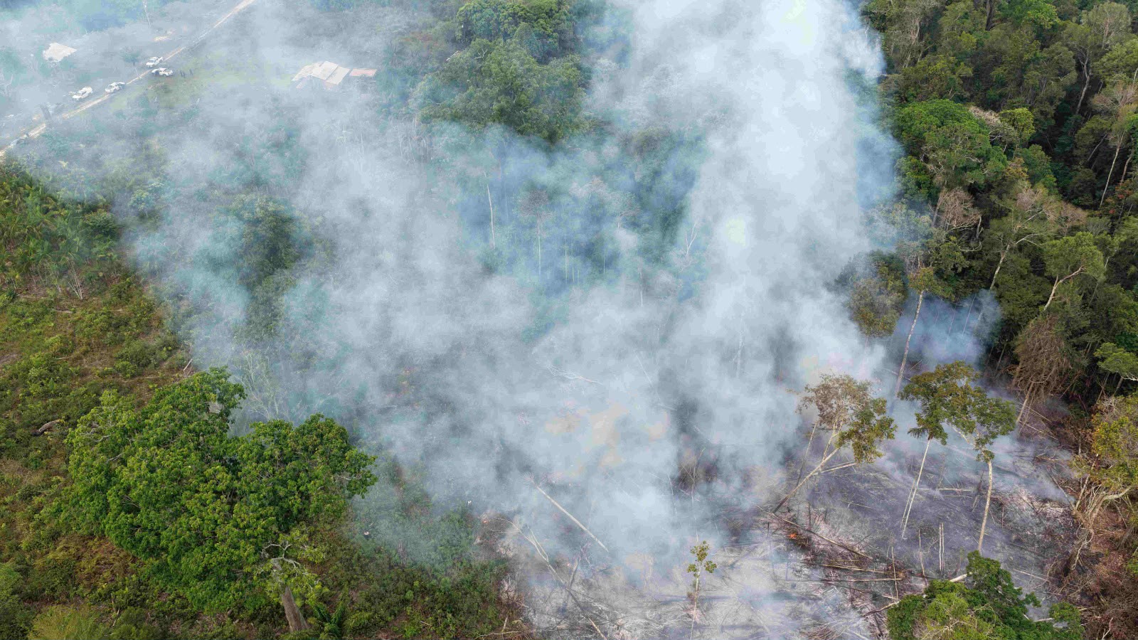 Ipaam multa proprietário de terreno em R$ 15 mil após flagrante de queimada no interior do Amazonas