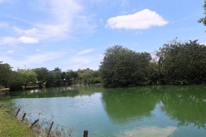 Feira de Santana terá calor de até 38°C e sensação térmica de 41°C nos próximos dias