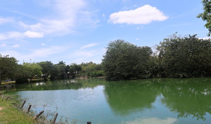 Feira de Santana terá calor de até 38°C e sensação térmica de 41°C nos próximos dias