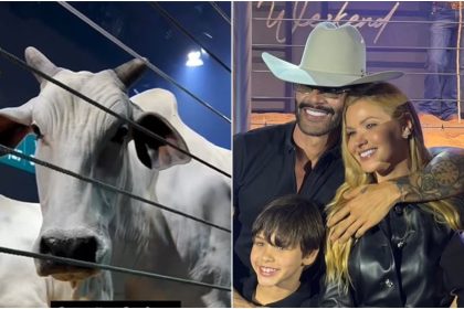 Gusttavo Lima e sócios investem quase R$ 12 milhões em duas vacas de elite; veja histórico do cantor