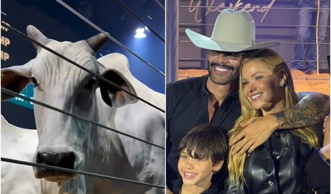 Gusttavo Lima e sócios investem quase R$ 12 milhões em duas vacas de elite; veja histórico do cantor