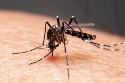Mudanças climáticas já causam aumento de doenças infecciosas no país