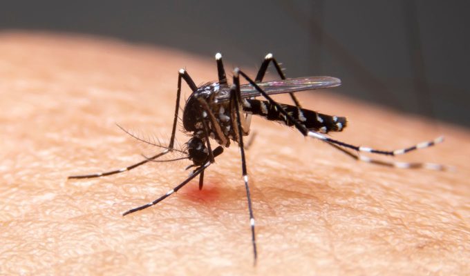Mudanças climáticas já causam aumento de doenças infecciosas no país