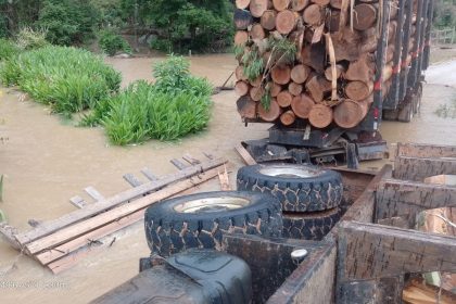 Ponte cede e caminhão carregado com toras tomba e cai na água em Ribeirão Branco