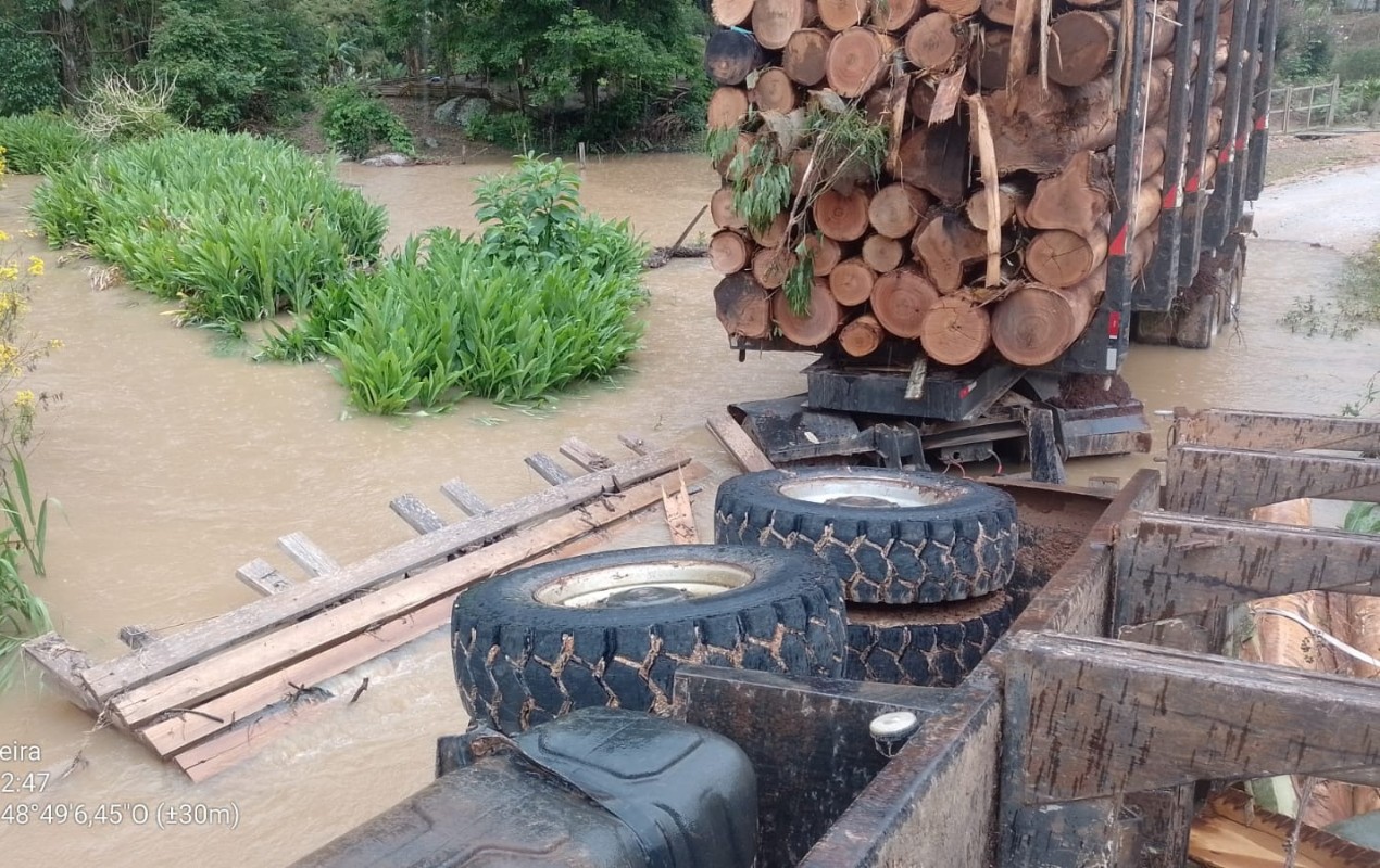 Ponte cede e caminhão carregado com toras tomba e cai na água em Ribeirão Branco