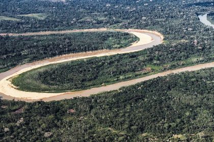 Holanda anuncia US$ 500 milhões em fundo florestal criado pelo Brasil