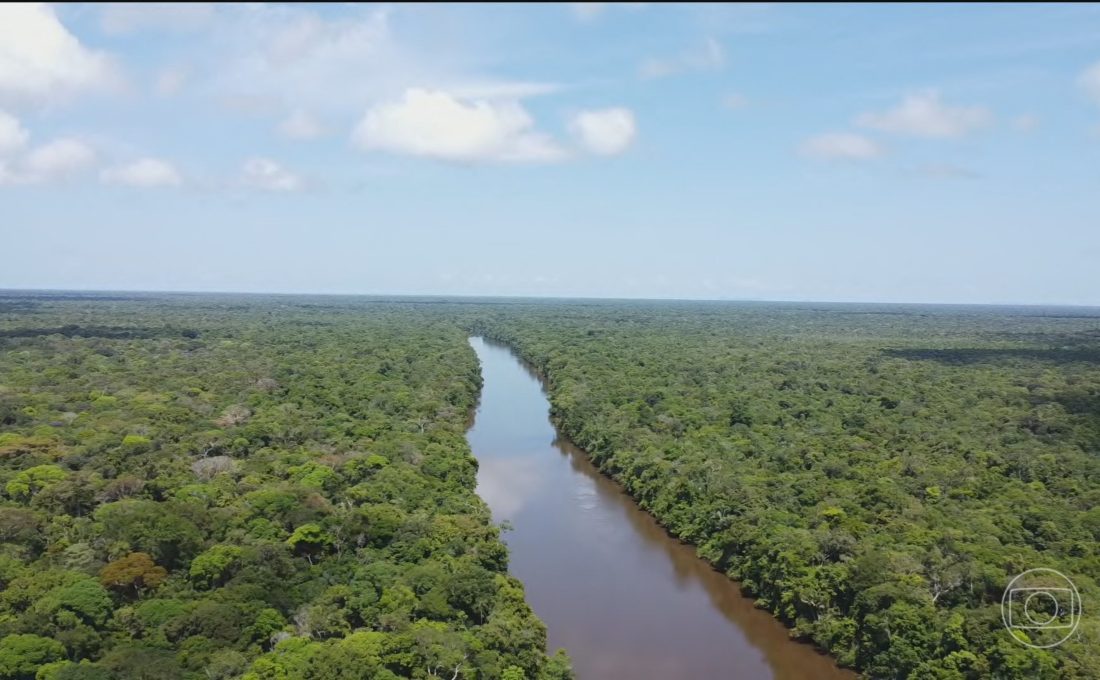 Alemanha afirma que vitória de Lula é boa notícia para Amazônia
