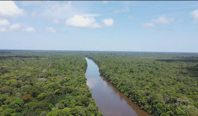 Alemanha afirma que vitória de Lula é boa notícia para Amazônia