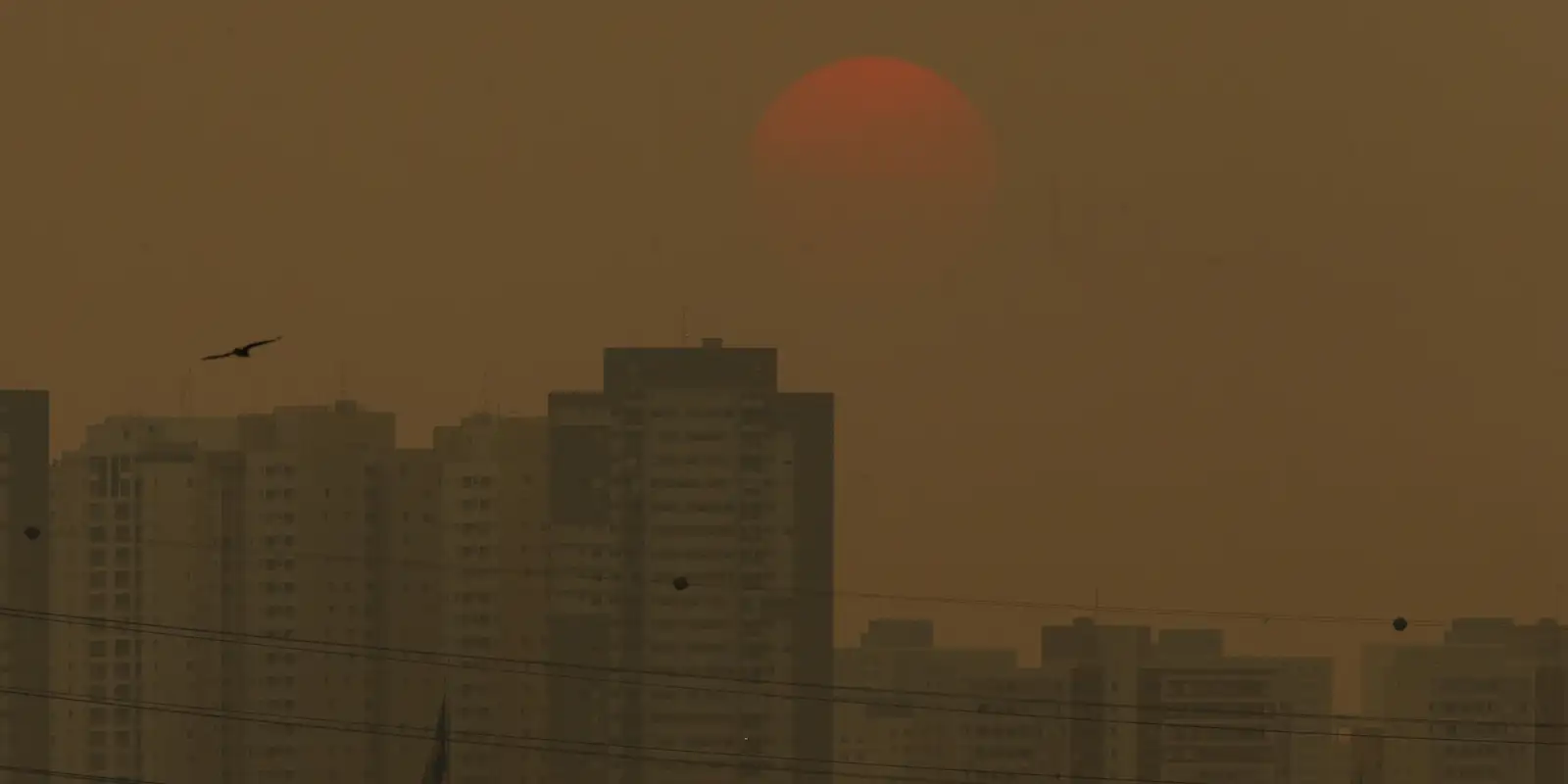 Concentração de gases do efeito estufa atingem níveis recordes