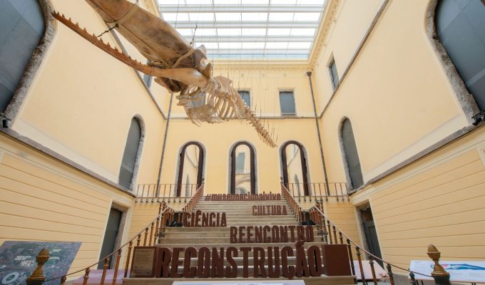 Museu Nacional reúne povos quilombolas no esforço de reconstrução
