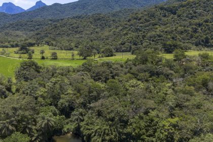 Brasil diminui em 43% área de vegetação nativa fragmentada