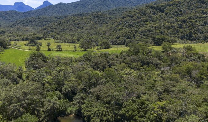 Brasil diminui em 43% área de vegetação nativa fragmentada
