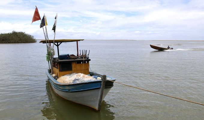 Pesca na foz do Rio Doce volta a ser liberada depois de dez anos