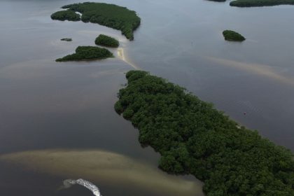 Países consideram insuficientes ações contra crise da biodiversidade