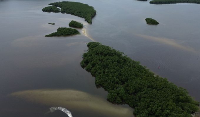 Países consideram insuficientes ações contra crise da biodiversidade