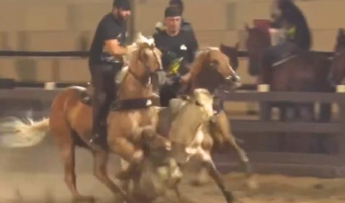 Após queda de cavalo, Henrique, da dupla com Juliano, volta a competir e derruba boi em vaquejada; VÍDEO
